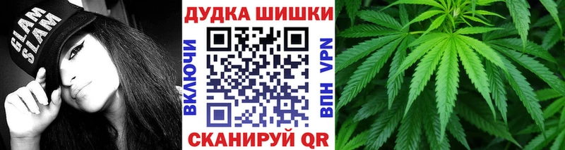 Купить закладку Киселёвск Гашиш  Канабис  A PVP  Меф мяу мяу  АМФ  Кокаин 