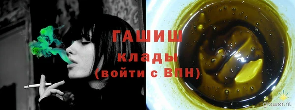 стаф Кинешма