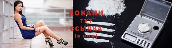 PSILOCYBIN Карталы