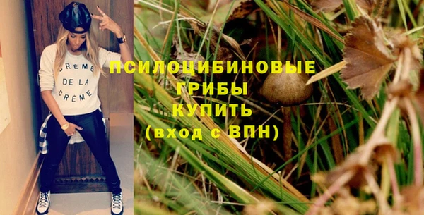спиды Касимов