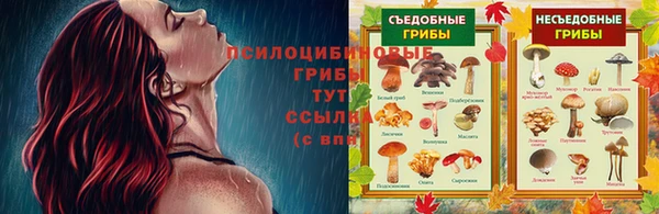 стаф Кинешма